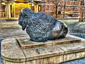 Buffalo statue at University of Colorado in Boulder