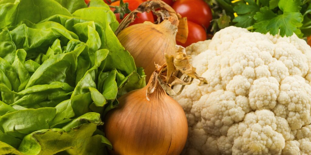 Best colleges for nutrition science and human nutrition illustration.